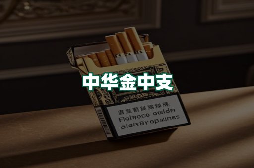 中华金中支